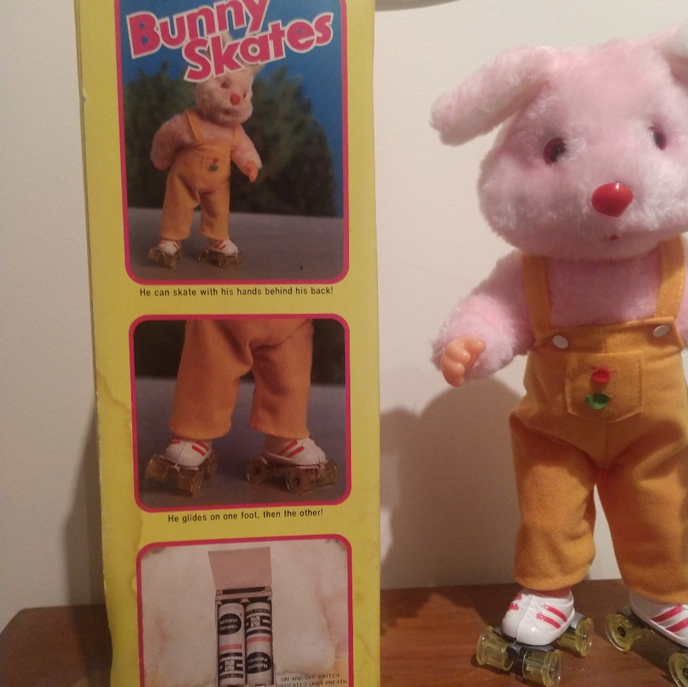 Skating bunny